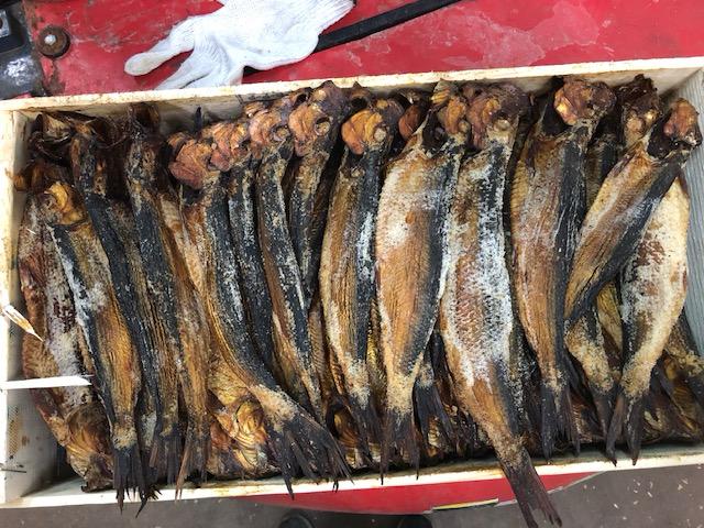 Dry Fish Arenque Canada